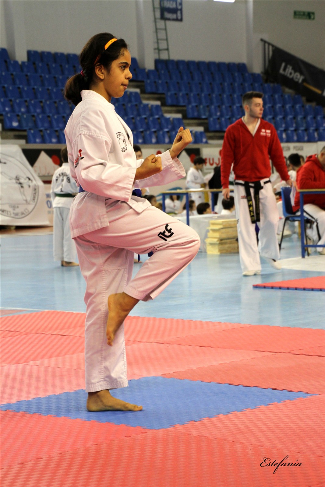 Taekwondo (156).jpg